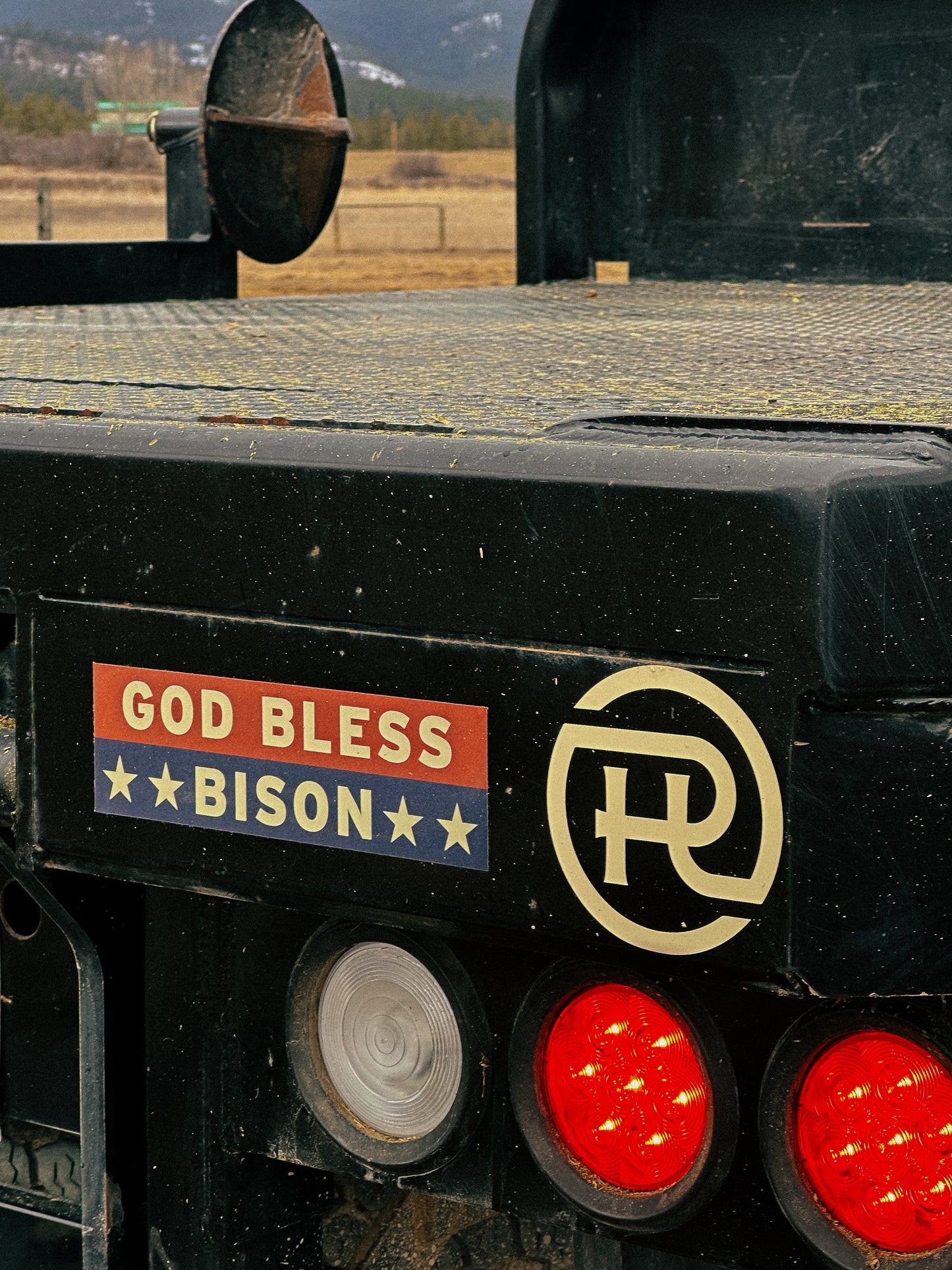 GOD BLESS BISON // BUMPER STICKER